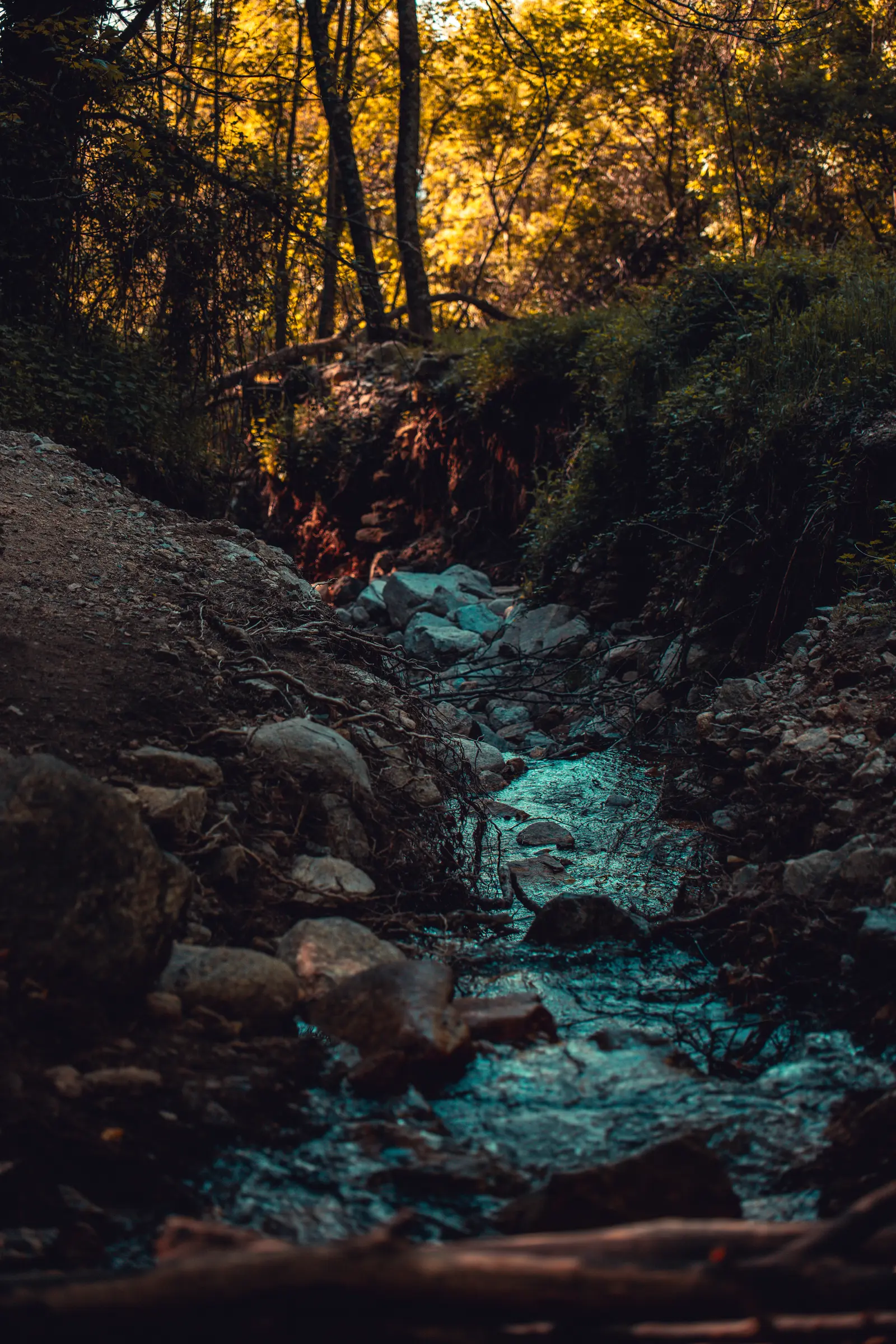 Intento subida Abantos-6